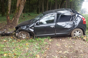 Водитель в Минском районе въехал в дерево. Пострадали два человека