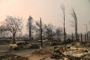 Число жертв природных пожаров в Калифорнии увеличилось до 36