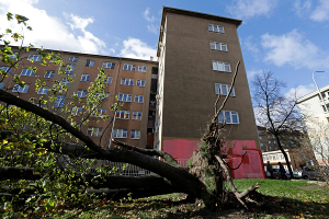 Ураган в Чехии: под упавшими деревьями погибли два человека