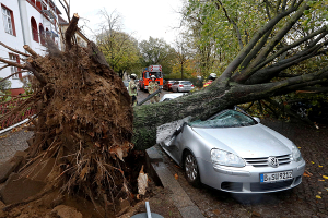 Жертвами урагана «Герварт» в Центральной Европе стали 5 человек