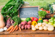 Органические продукты оздоровят людей, малый и средний бизнес