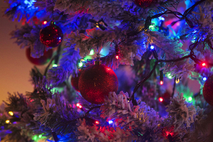 К 1 декабря в Минске украсят новогодние елки
