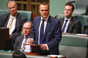В Австралии депутат сделал предложение своему партнеру во время обсуждения легализации однополых браков (ВИДЕО)