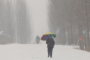 В Китае из-за мощных снегопадов погибли 13 человек