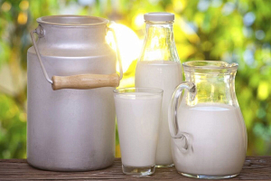 В Беларуси впервые в среднем на корову надоено 5 тысяч килограммов молока 
