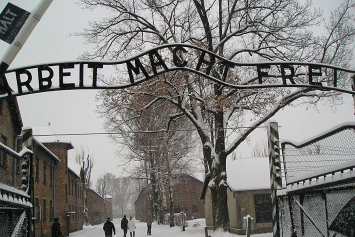 В Польше суд вынес приговор участникам акции в Освенциме
