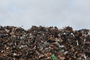 Беларусь к 2020 году планирует извлекать четверть вторичных ресурсов из мусора 