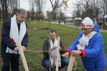 Могилевская городская организация «Белой Руси» помогает землякам в решении проблем и радует акциями