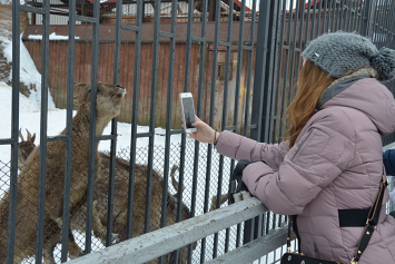 Обитатели Минского зоопарка от аномально теплой зимы ведут себя не по сезону 