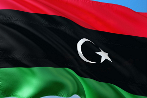 МИД поблагодарил партнеров за освобождение белорусского специалиста из плена в Ливии