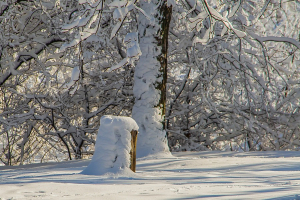 Высота снежного покрова в Москве достигла 43 сантиметров