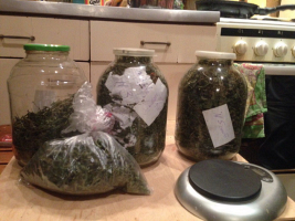 Вот это закатки: в Минске задержали плантатора, который выращивал марихуану и хранил ее в 3-литровых банках