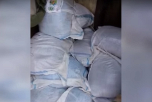 В Мозыре обнаружили 290 килограммов насвая - столько же, как за весь прошлый год 