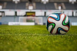 Футбольная сборная Беларуси сыграет товарищеский матч с Венгрией