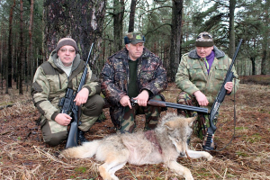В Беларуси вносятся изменения в правила охоты и расширяется список охотничьих животных