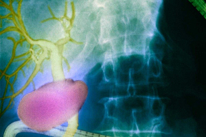 Ученые обнаружили новый орган в человеческом теле, который способствует развитию рака