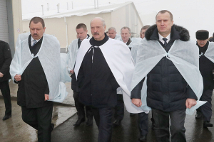Лукашенко намерен обсудить молочную проблему с Путиным 
