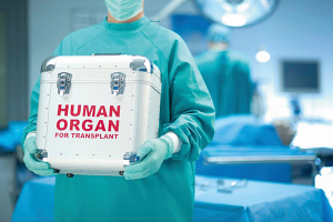 Поправки в закон о трансплантации: в стране планируют расширить круг прижизненных доноров 