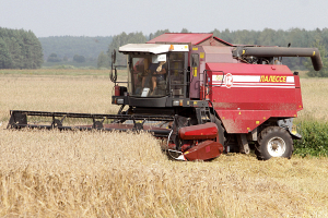 Лукашенко: сельскохозяйственное производство — это бизнес, а не социальный проект
