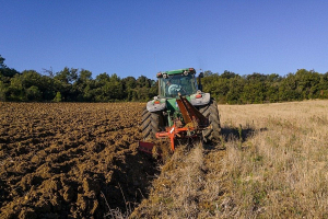 Число несчастных случаев в сельхозорганизациях сократилось в прошлом году на 4%
