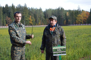 К 2020 году треть лесных посадок в Беларуси будет создаваться с помощью саженцев с закрытой корневой системой