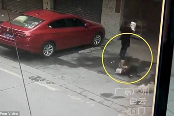 Видеофакт: китаянка попала в больницу из-за упавшей «с неба» собаки