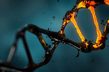 В человеческих клетках нашли новую форму ДНК