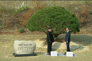 Лидеры КНДР и Южной Кореи посадили дерево