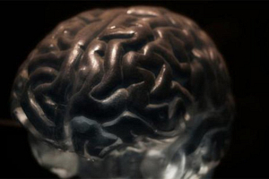 Ученым удалось поддержать жизнь мозга вне тела