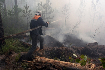 Новая техника помогает лесоводам бороться с пожарами