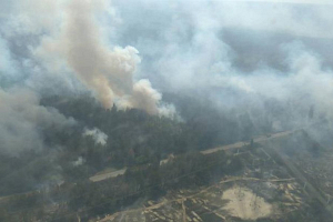 В чернобыльской зоне горит лес: пожар тушат 30 единиц техники