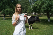 Финалистка «Мисс Беларусь» 2018 года Юлия Кузьменко без труда вакцинирует теленка и обрежет корове копыта