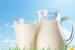 Беларусь и Россия договорились о снятии ограничений на молочную продукцию