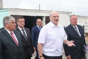 Лукашенко: эффективность сельхозпроизводства превыше статистических показателей