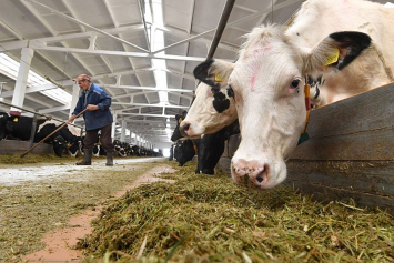 Россия отменила запрет на поставки молока из Беларуси