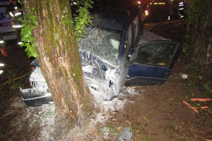 В Витебске легковушка врезалась в дерево. Спасатели деблокировали троих пострадавших