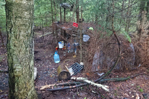 Разыскиваемый за мошенничество минчанин два года прятался в лесу