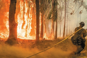 В Калифорнии арестовали поджигателя лесов