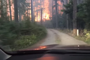 Отец с сыном сняли на видео, как спасались от лесного пожара