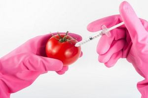 В Беларуси проверку на наличие ГМО проходят ежегодно около 1000 образцов продуктов 