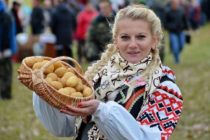 Около 6 млн т картофеля планируют получить в Беларуси в этом году