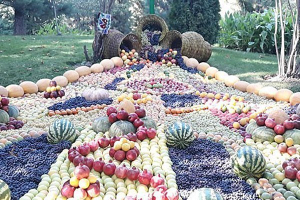 Фотофакт. К приему высоких гостей в Таджикистане установили композиции из фруктов и овощей