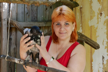 Как Юлия Половинская из Витебска стала «птичьей мамой» и спасает пернатых