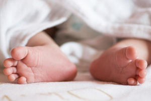 В Гродно в мусорном баке нашли тело новорожденного ребенка