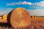 Чужие сельхозбренды ищут возможность закрепиться на рынке ЕАЭС