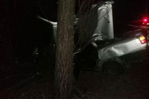 В Волковысском районе автомобиль вылетел с дороги и врезался в дерево: один человек погиб, двое пострадали