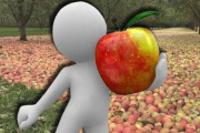 За свое яблоко покупатель голосует рублем