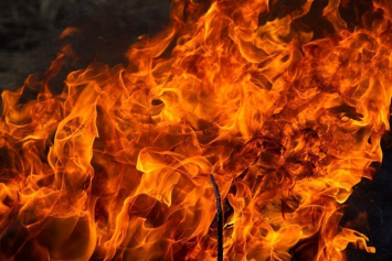 На пожаре в Ляховичском районе погибли отец и сын