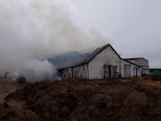 В Слонимском районе горела молочно-товарная ферма