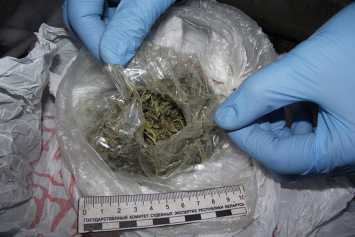 В Молодечно во время задержания продавец марихуаны выкинул в окно более 1,5 кг наркотиков
